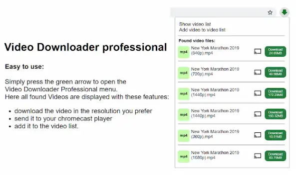 Video Downloader professional screenshot