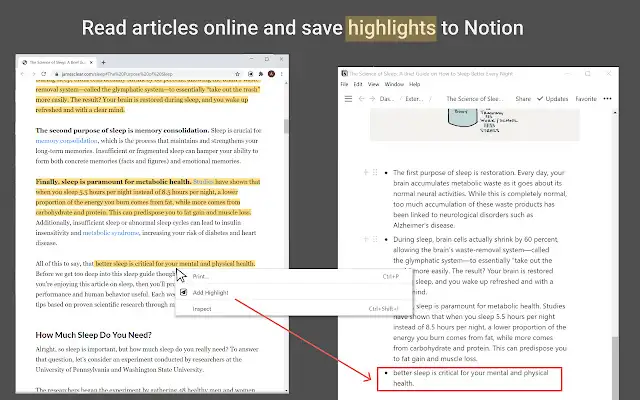 Save to Notion screenshot