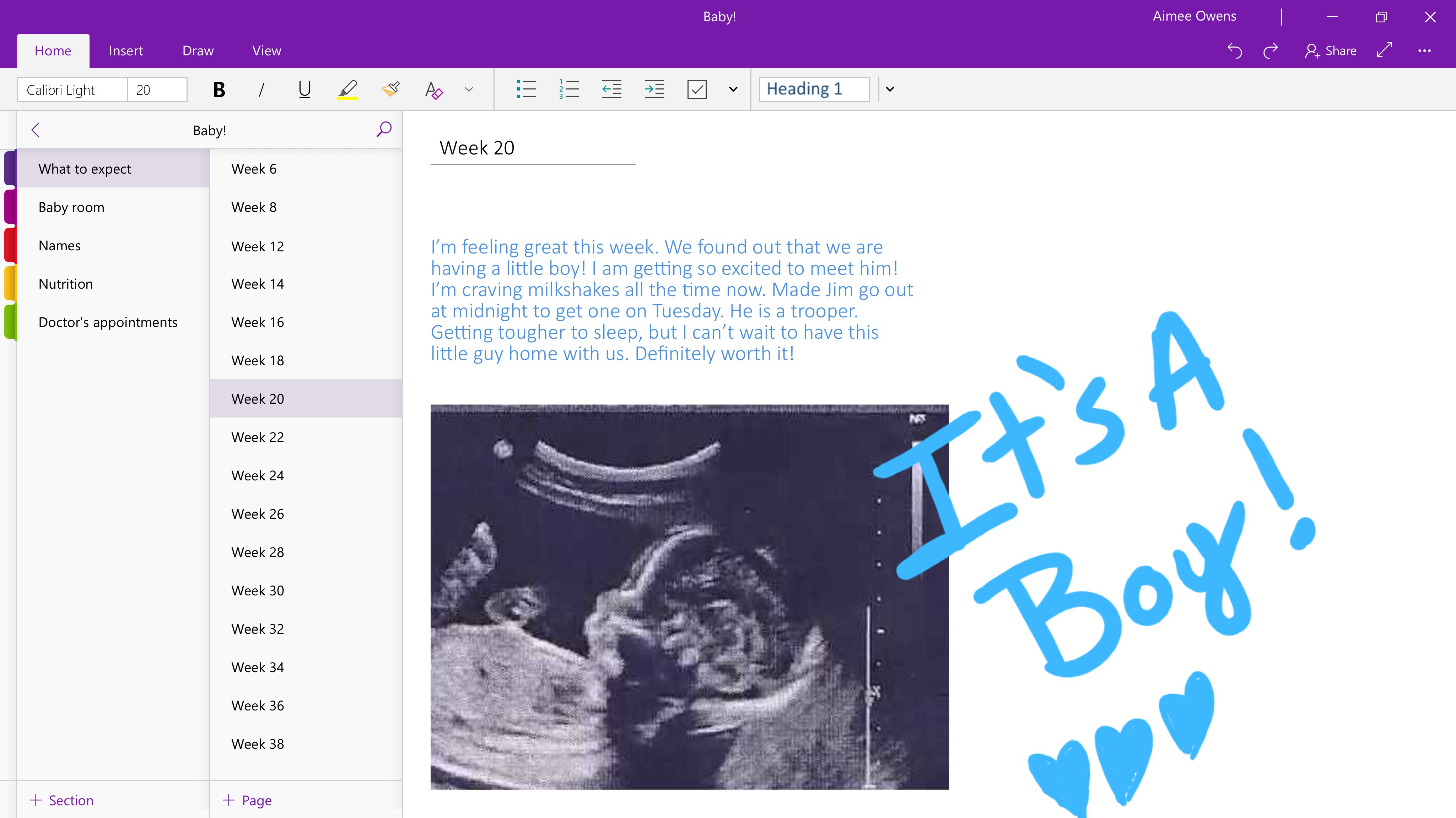 OneNote screenshot