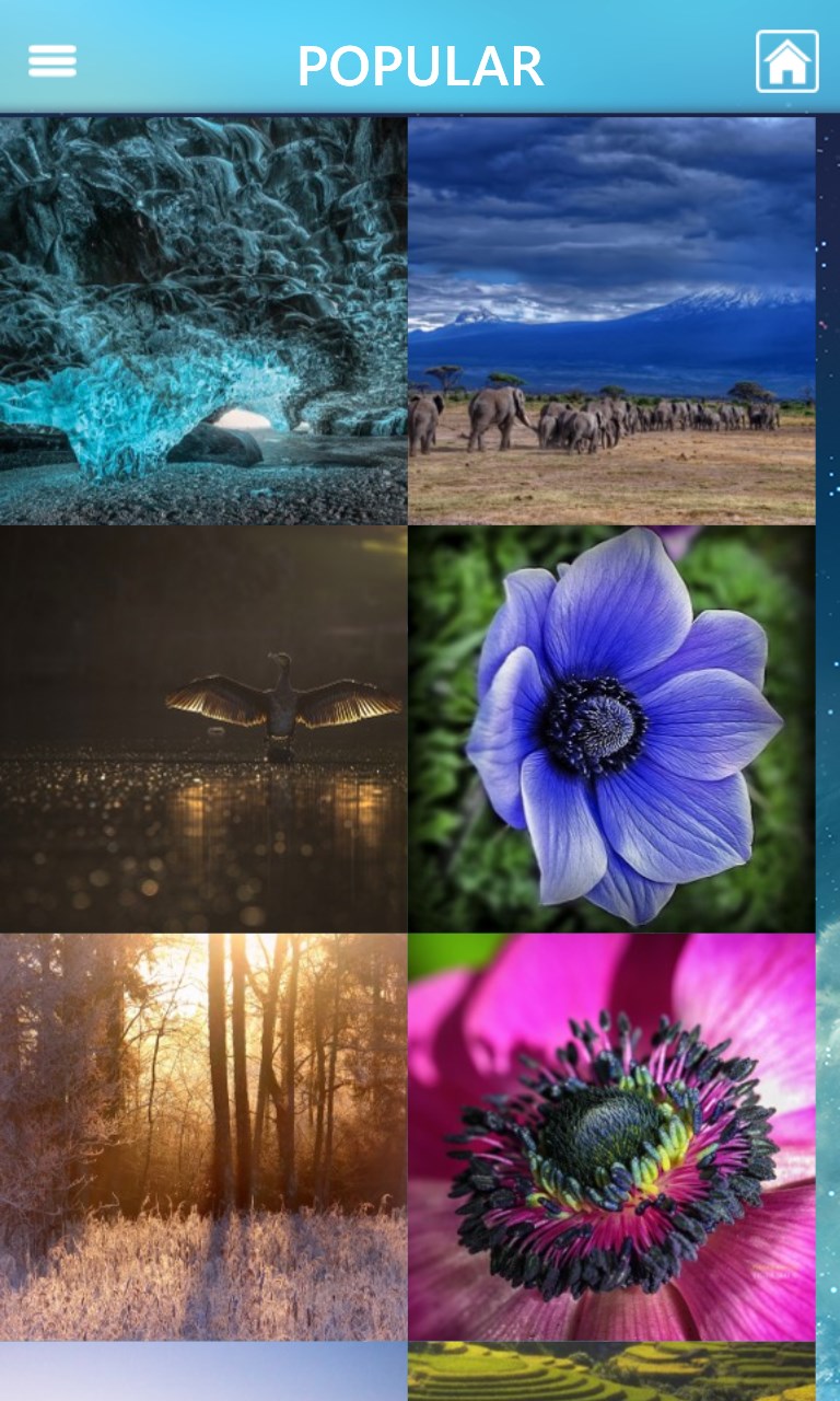 Wallpaper HD 2015 screenshot 2