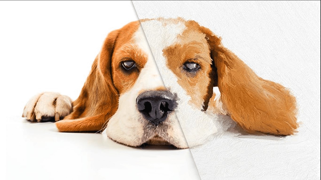 Fresh Paint screenshot