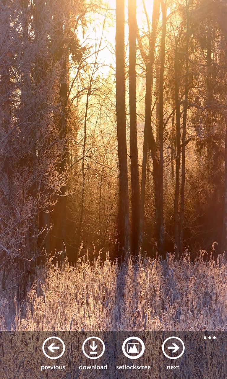 Wallpaper HD 2015 screenshot 4