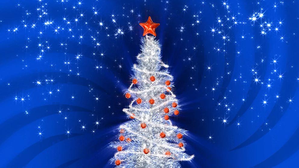 PUSH Video Wallpaper screenshot