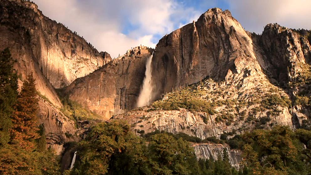 PUSH Video Wallpaper screenshot